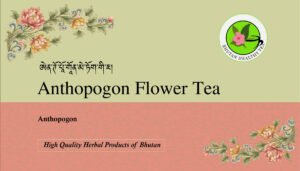 anthopogan