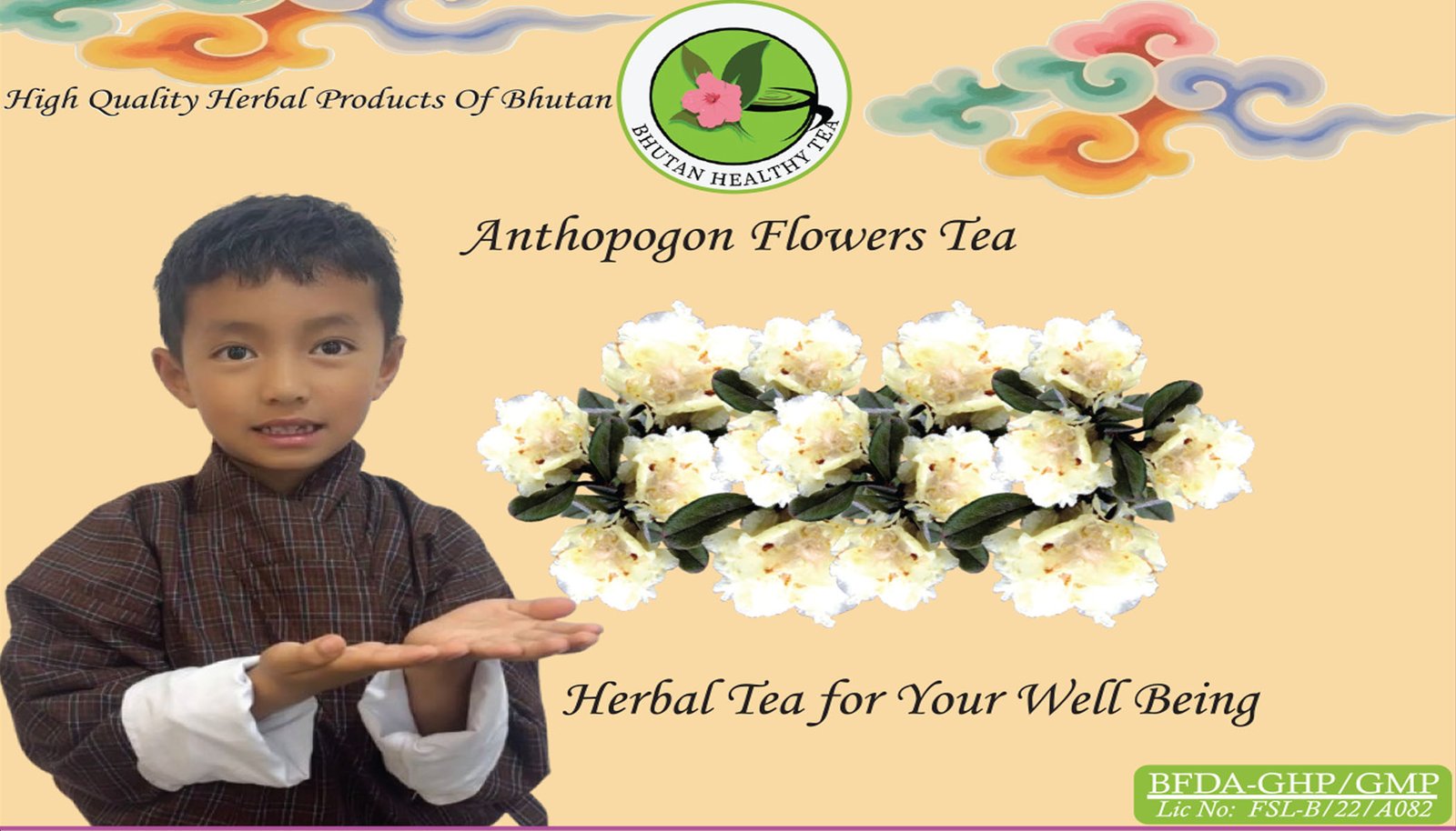 anthopogan copy
