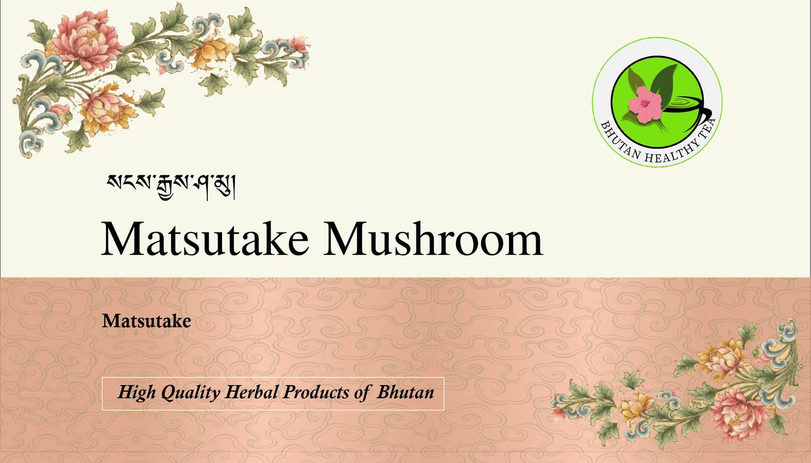 matsutake mushroom